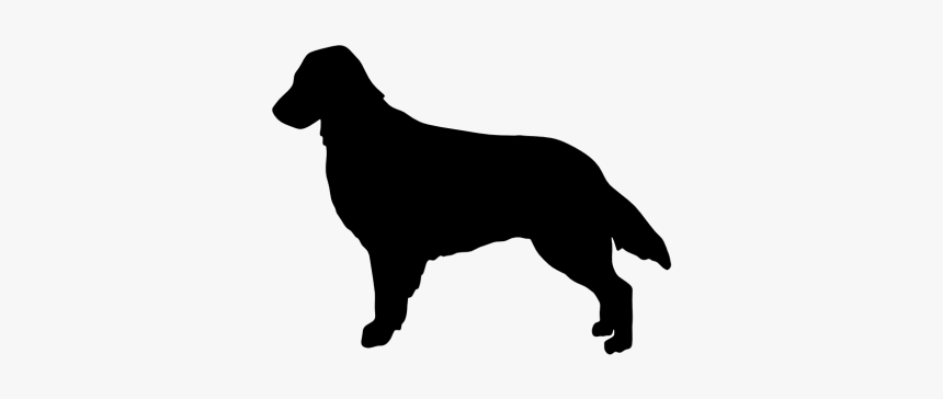 Rottweiler Flat-coated Retriever Golden Retriever Border - Wirehaired Pointing Griffon Silhouette, HD Png Download
