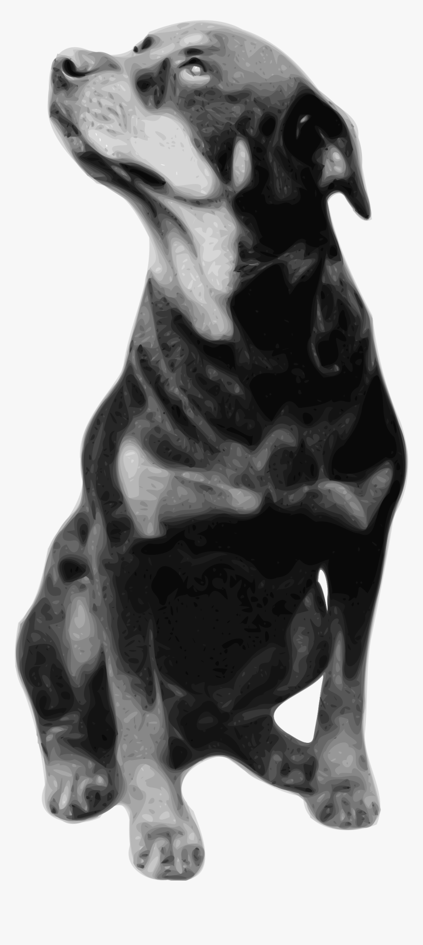 Photorealistic Vector Drawing Of Rottweiler - Loss Of A Rottweiler, HD Png Download