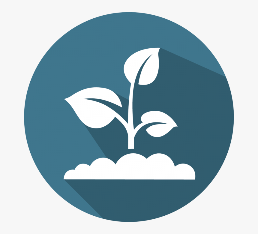 Graphic Design, HD Png Download