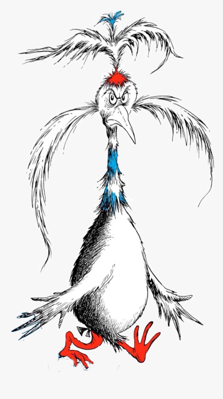 Seuss Wiki - Partridge, HD Png Download