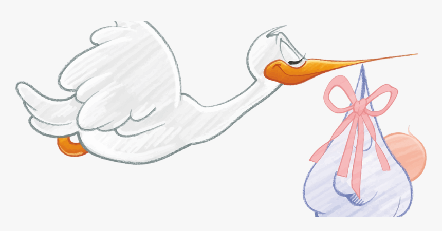 Pregnancy No-nos - Imagem De Descoberta Da Gravidez, HD Png Download