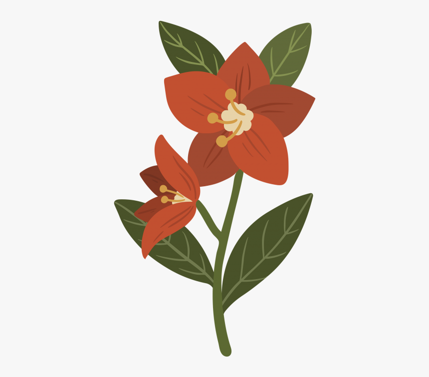 Flower Png, Transparent Png