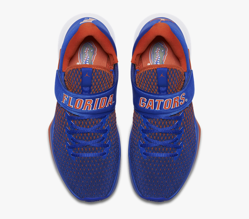 Florida Gators Jordan Shoes, HD Png Download