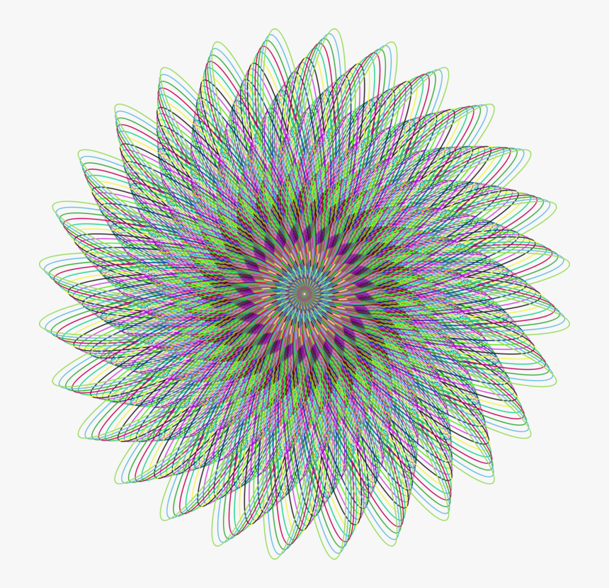 Iris,plant,eye - Circle, HD Png Download
