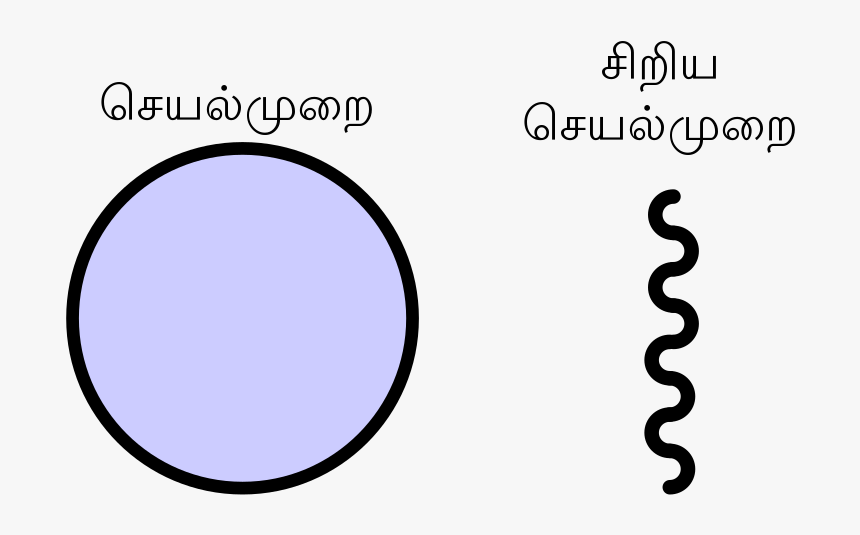 Circle, HD Png Download