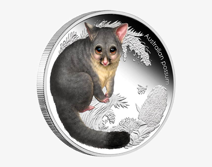 Australia 2013 50 Cents Possum Australian Bush Babies - Australian Animal Bush Baby, HD Png Download