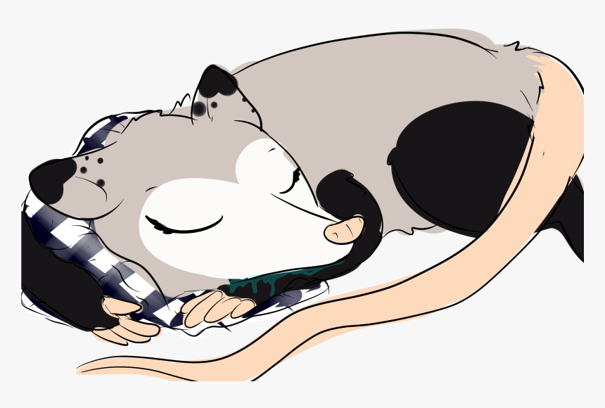 Possum Queen <3 « Older - Cartoon, HD Png Download