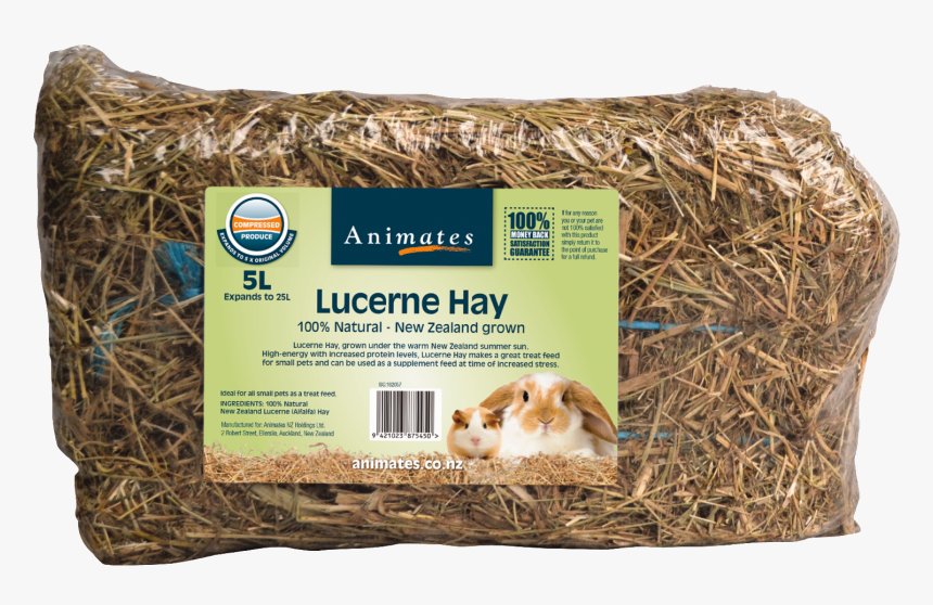 Pressed Hay Small Animals , Png Download - Guinea Pig, Transparent Png