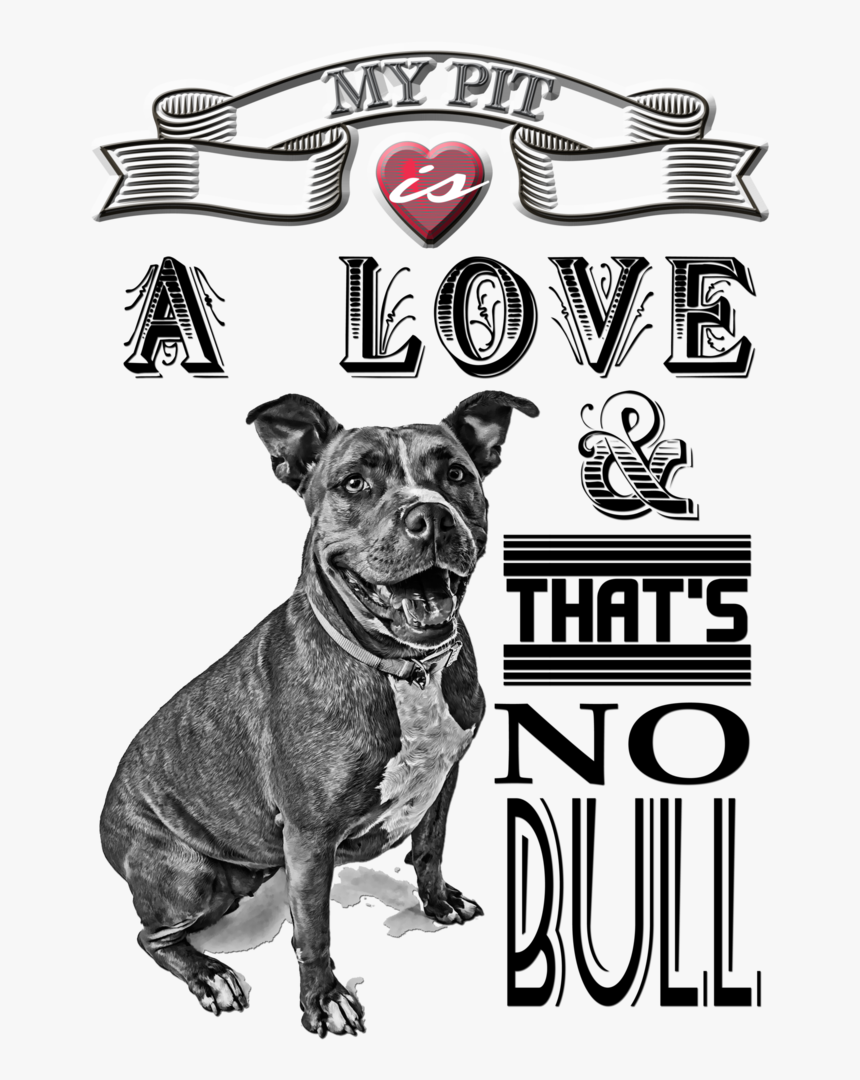 Pit Bull, HD Png Download