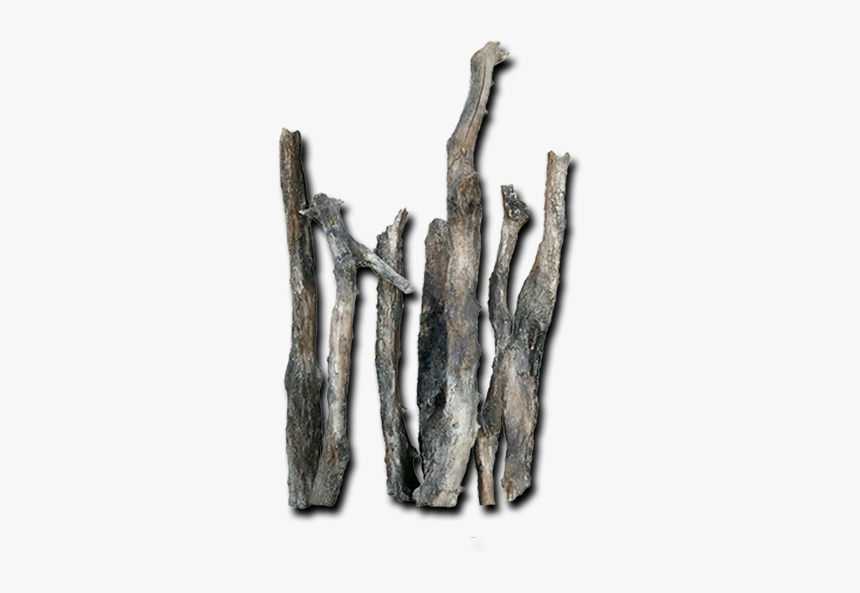 Logs Roots Bottom Rocks - Driftwood, HD Png Download