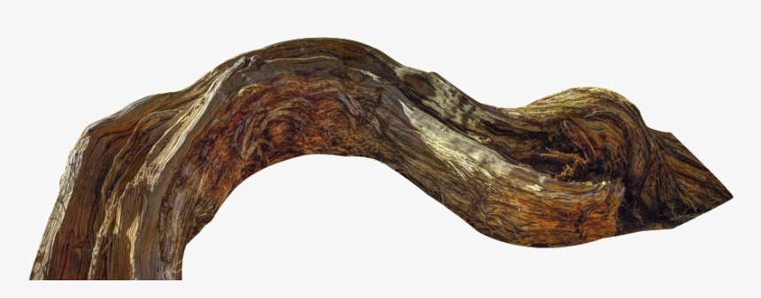 Driftwood Vector Cartoon - Wood, HD Png Download