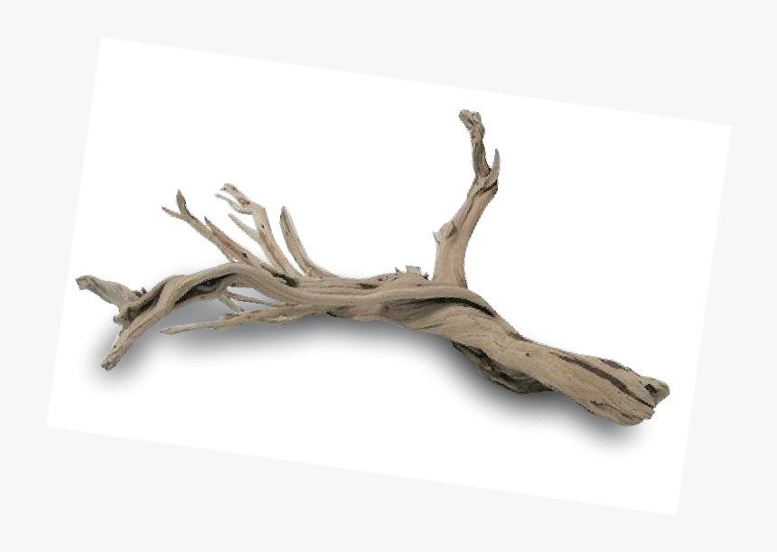 Driftwood, HD Png Download