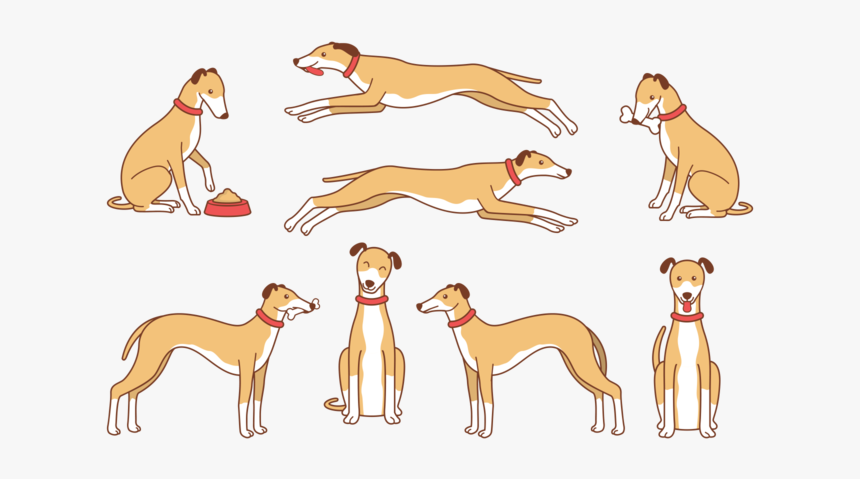 Whippet Cartoon Vector - Longdog, HD Png Download