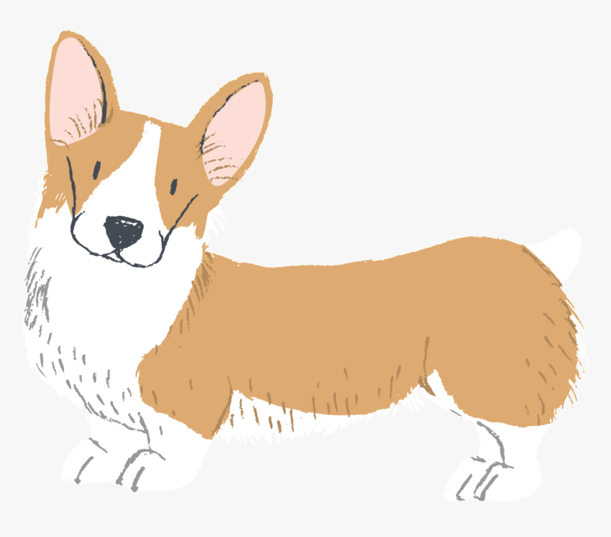 Hand Painted Watercolor Cute Keji Free Buckle Dog Vector - Dog, HD Png Download