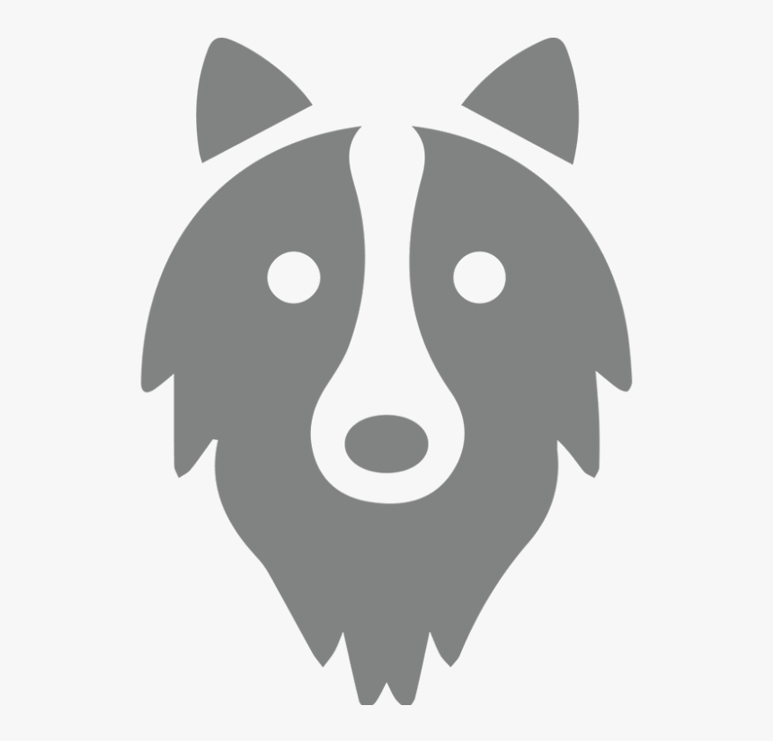 Border Collie Png, Transparent Png