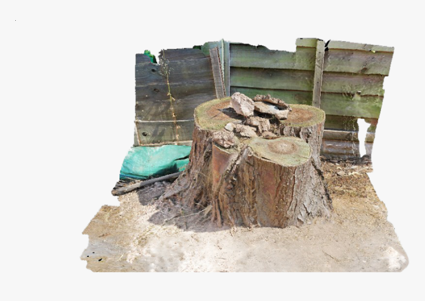 Tree Stump And Surrounding Area - Tree Stump, HD Png Download
