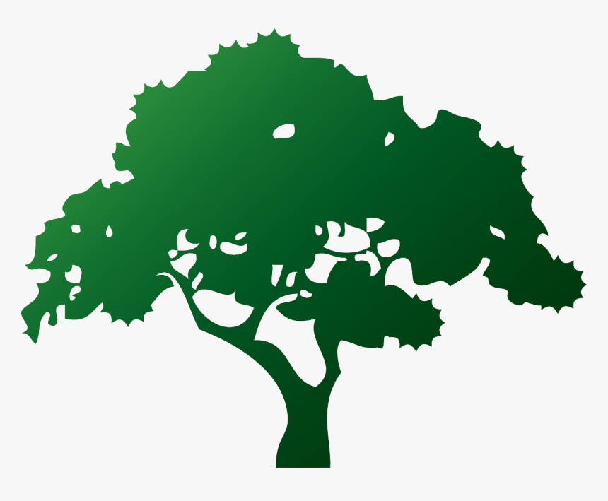 Plant,leaf,tree - Tree Service Clipart, HD Png Download