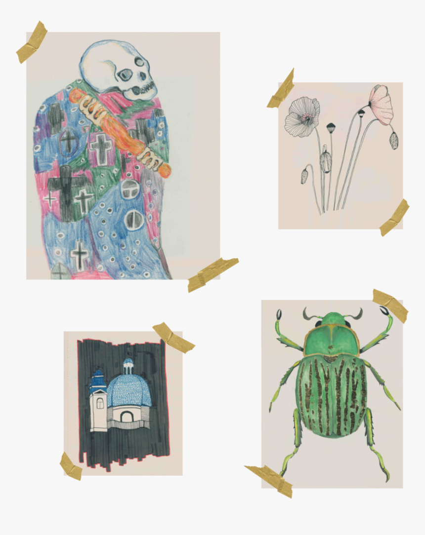 Sketchbook3 - Illustration, HD Png Download