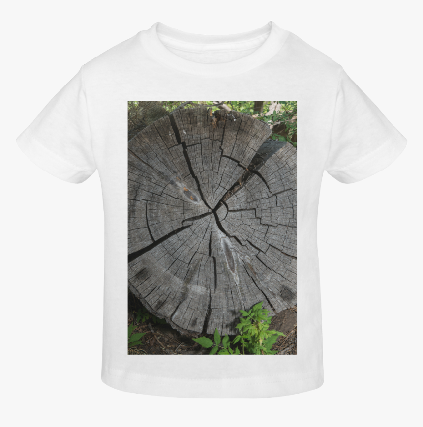 Dried Tree Stump Sunny Youth T-shirt - Tree Stump, HD Png Download
