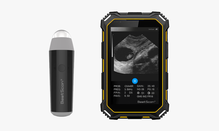 Wireless Ultrasound Veterinary Medicine, HD Png Download