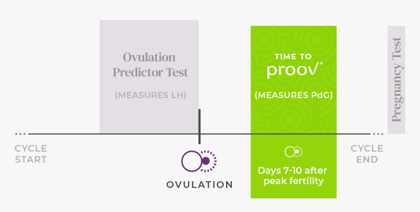 Diagram, HD Png Download