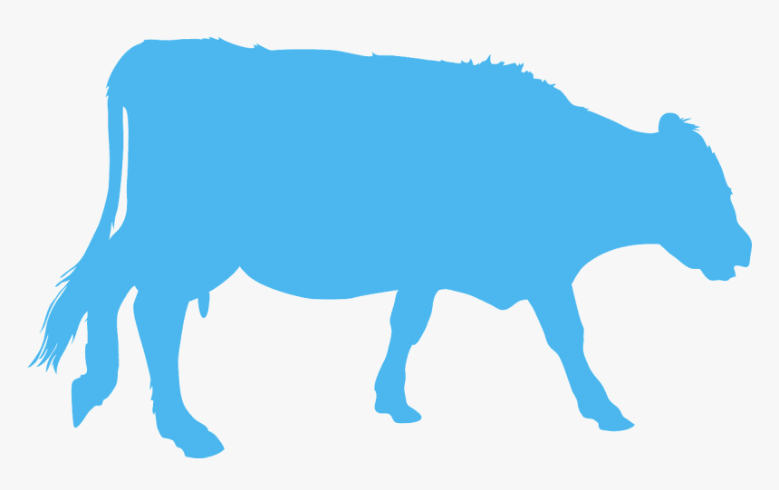 Blue Cow Clip Art, HD Png Download