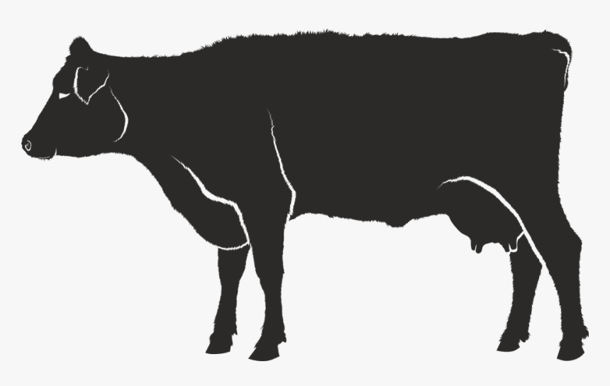 Forma De Una Vaca, HD Png Download