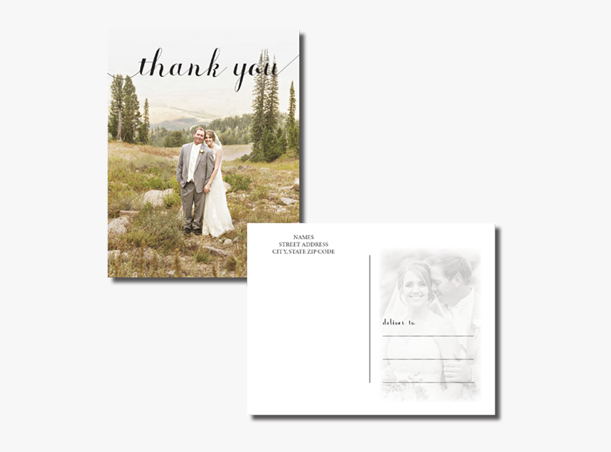 Transparent Thank You - Photograph, HD Png Download
