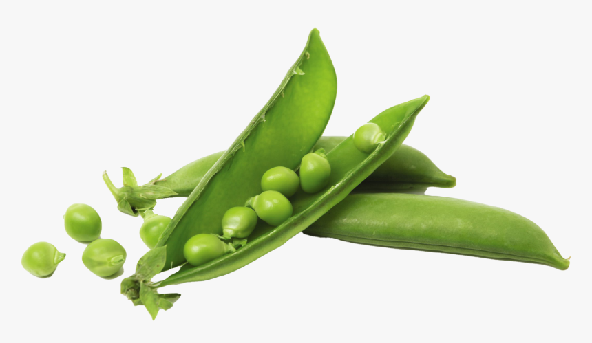 Snap Pea, HD Png Download