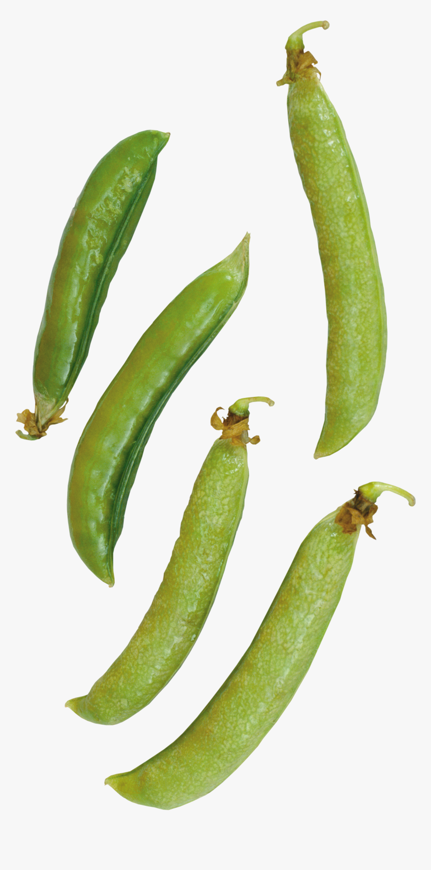 Pea - Habichuelas Png, Transparent Png
