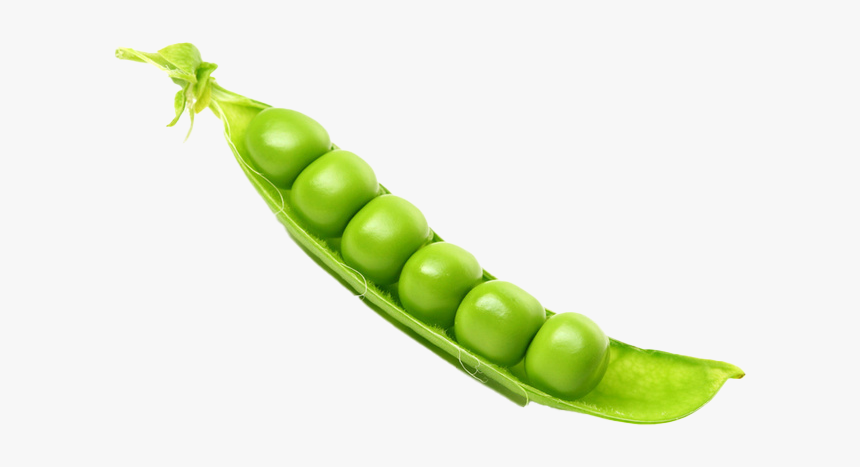 Positive Peas, HD Png Download