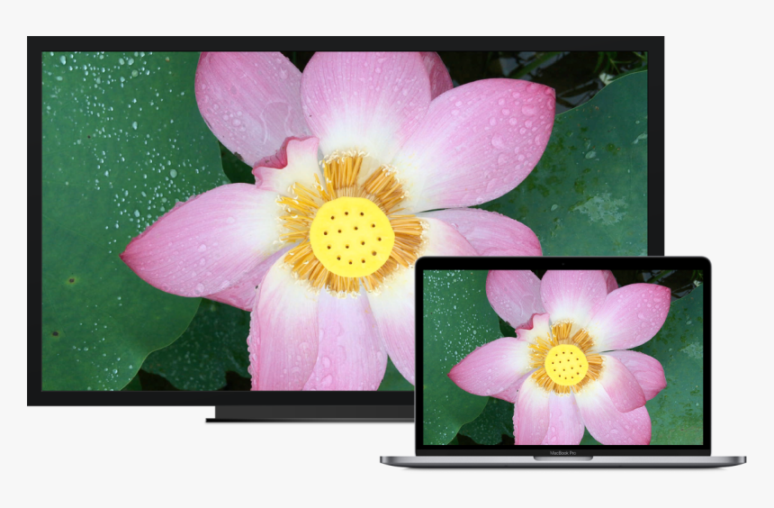 A Macbook Pro Next To An Hdtv Used As An External Display - Final Cut Pro X Waveform, HD Png Download