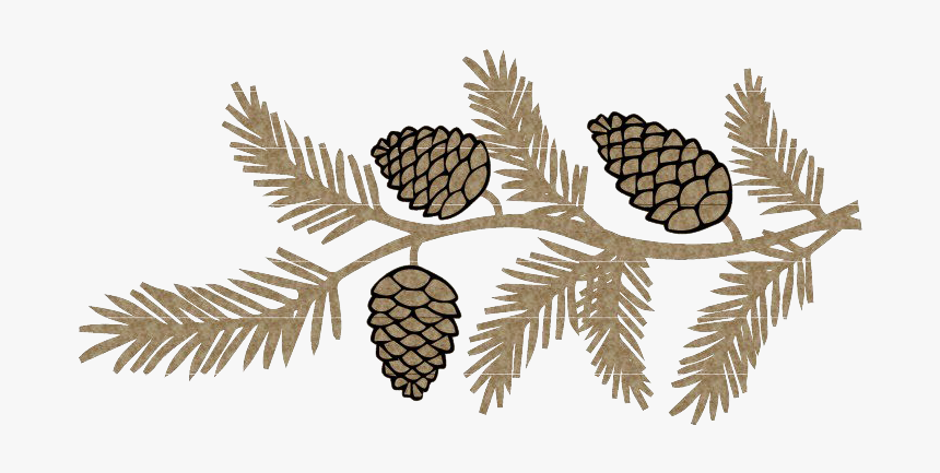 Pinecone Png Photo, Transparent Png