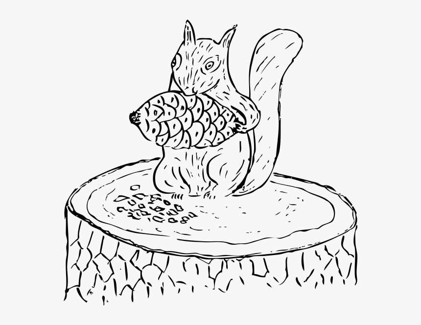 Squirrel With Pinecone - Pine Cone Clip Art, HD Png Download