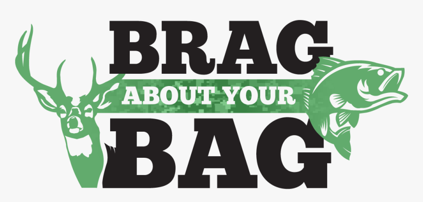 Brag About Your Bag 2019 Logo - Poster, HD Png Download