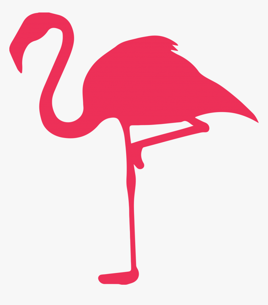 Flamingo On Black, HD Png Download