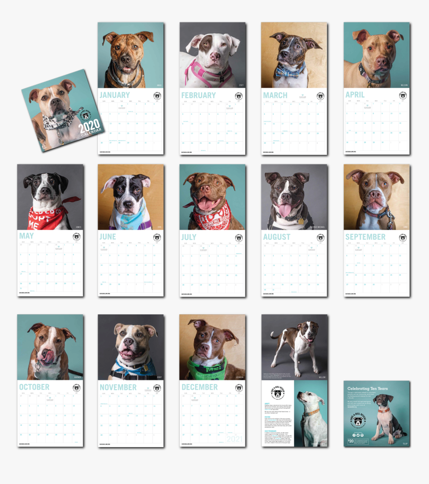 Boxer, HD Png Download