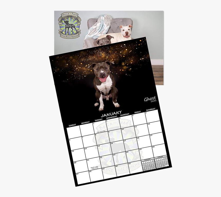 Pit Bull, HD Png Download