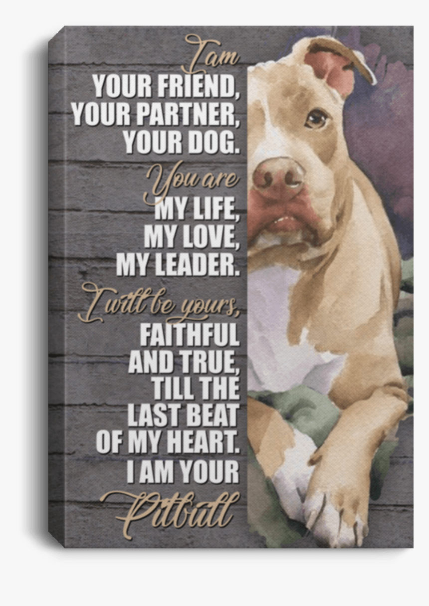 Pit Bull, HD Png Download