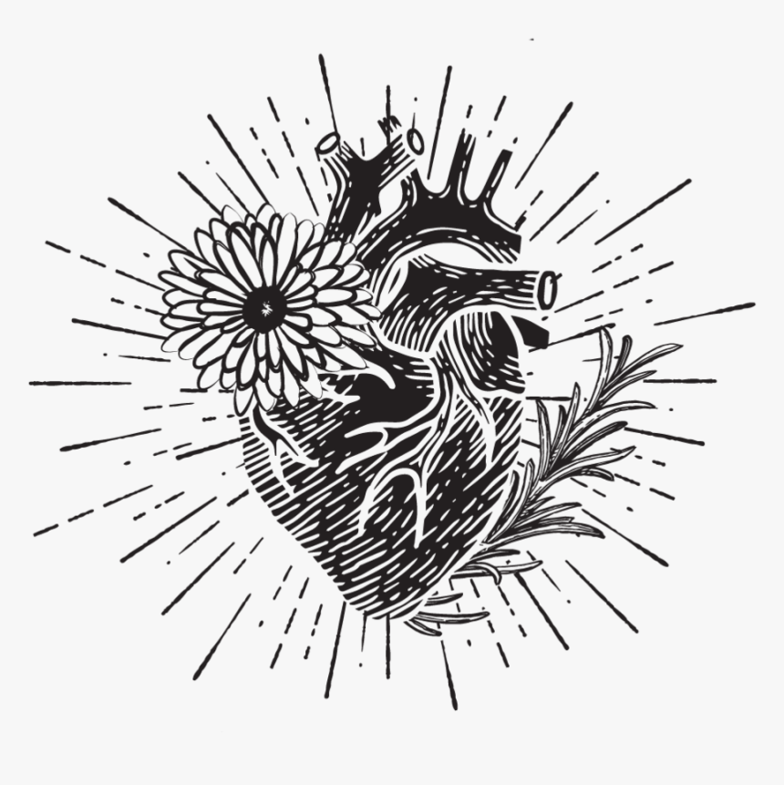 Squareheart - Docville Leuven, HD Png Download