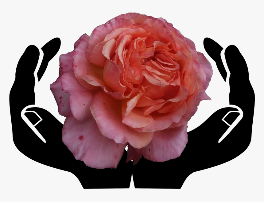 Natural Resources Class 9, HD Png Download