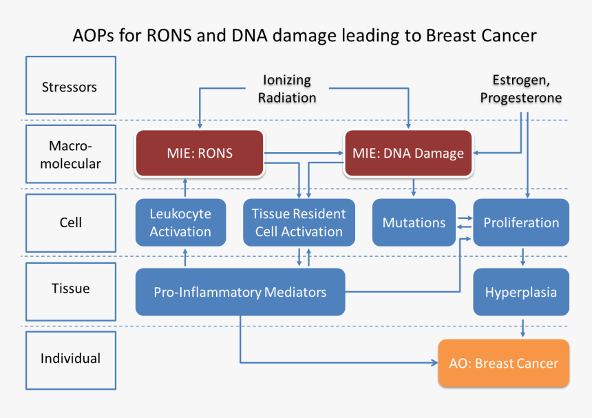 Screenshot, HD Png Download