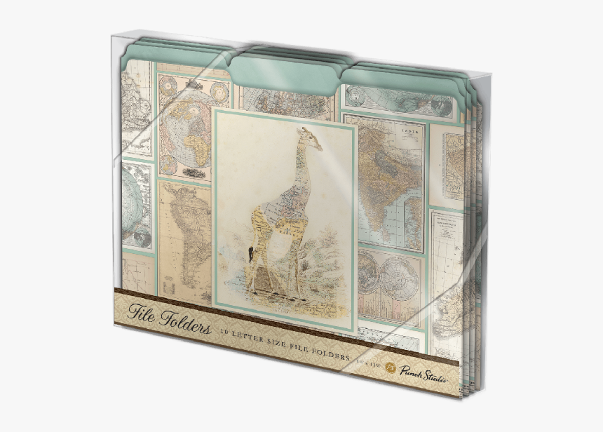 Giraffidae, HD Png Download