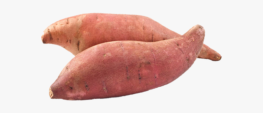 Batata Doce, HD Png Download