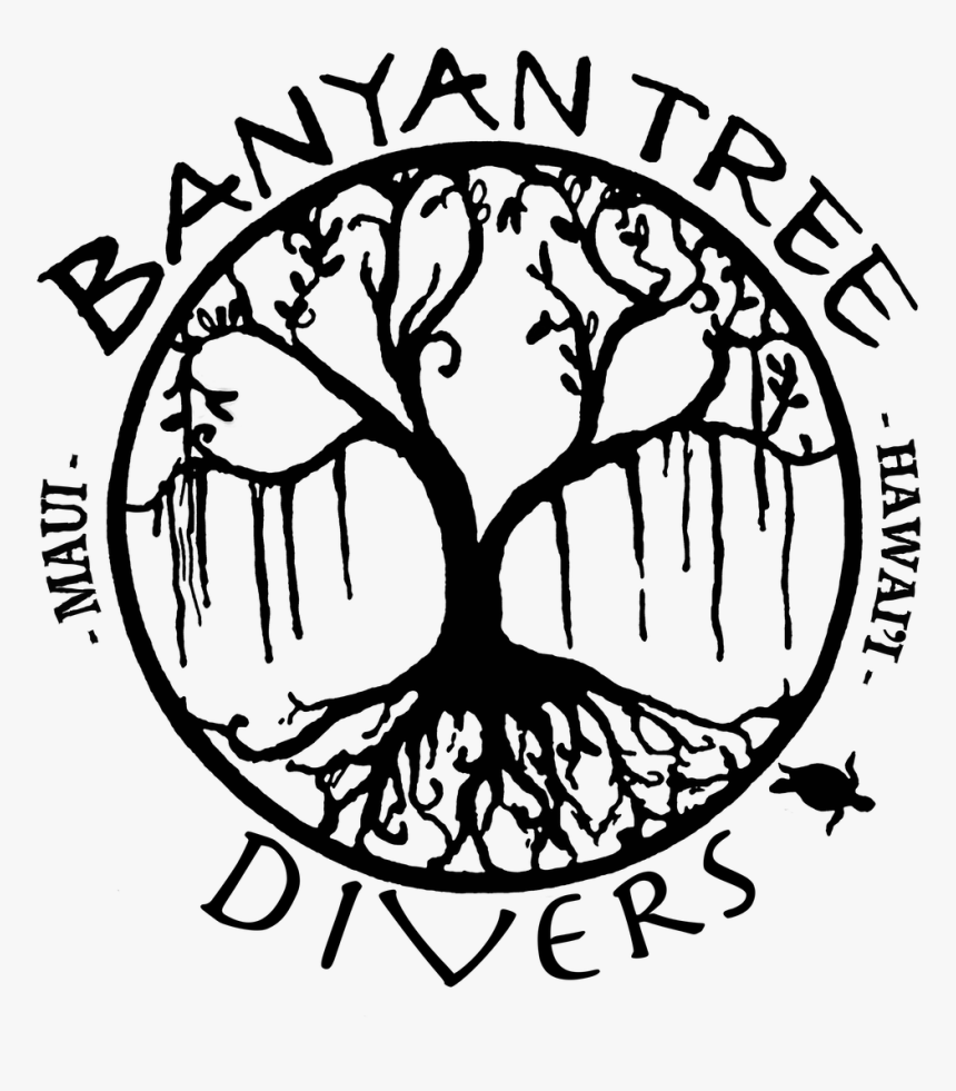 Banyan Tree Divers Maui - Banyan Tree Line Art, HD Png Download