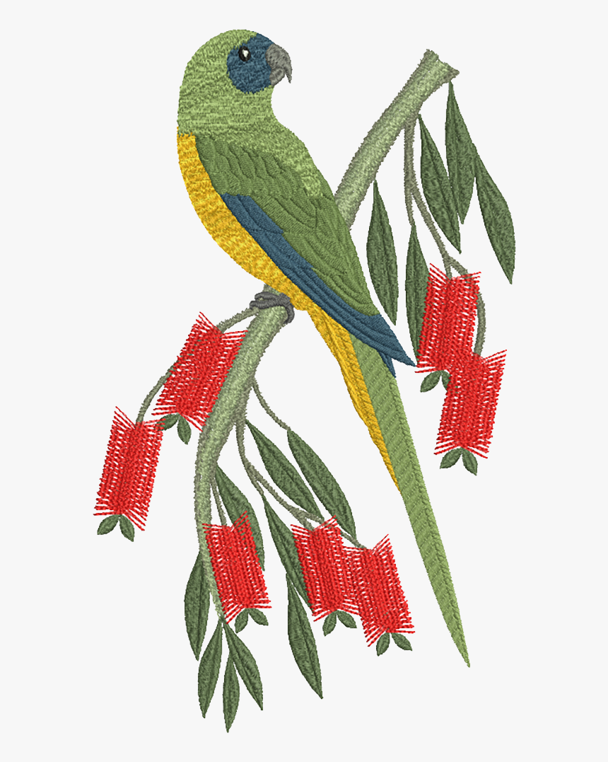 Machine Embroidery Designs , Png Download - Motif Design On Parrot, Transparent Png