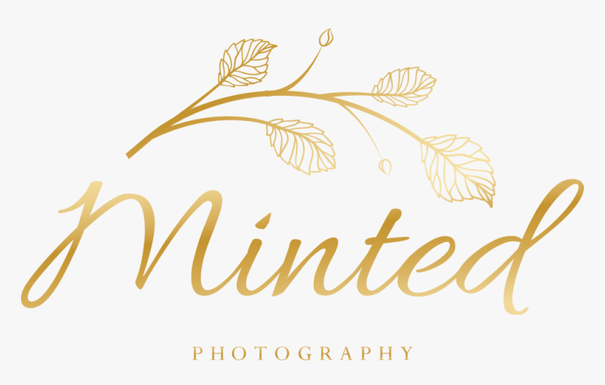 Calligraphy, HD Png Download