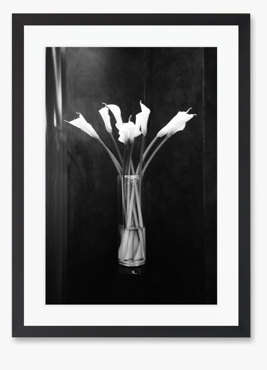 Arum, HD Png Download