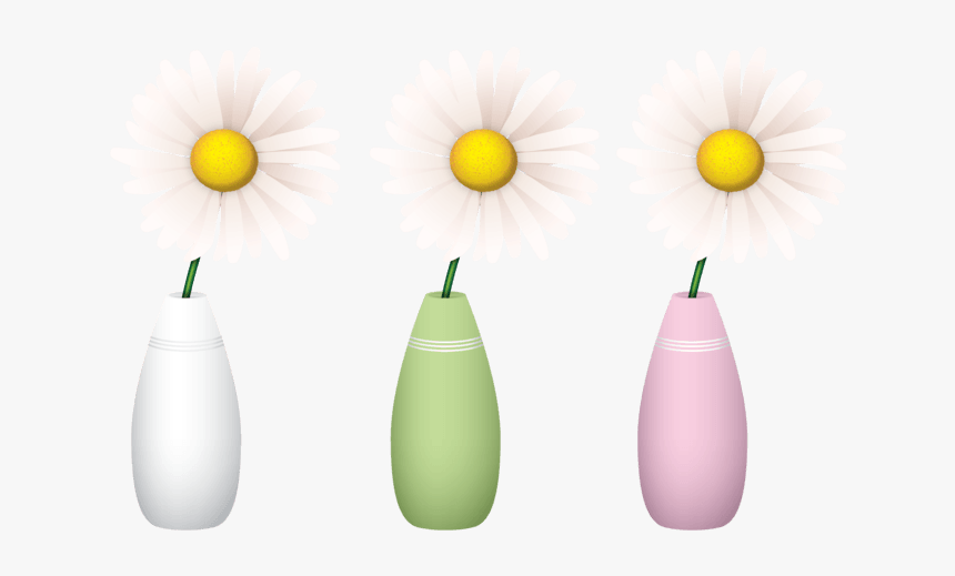 Camomile, HD Png Download