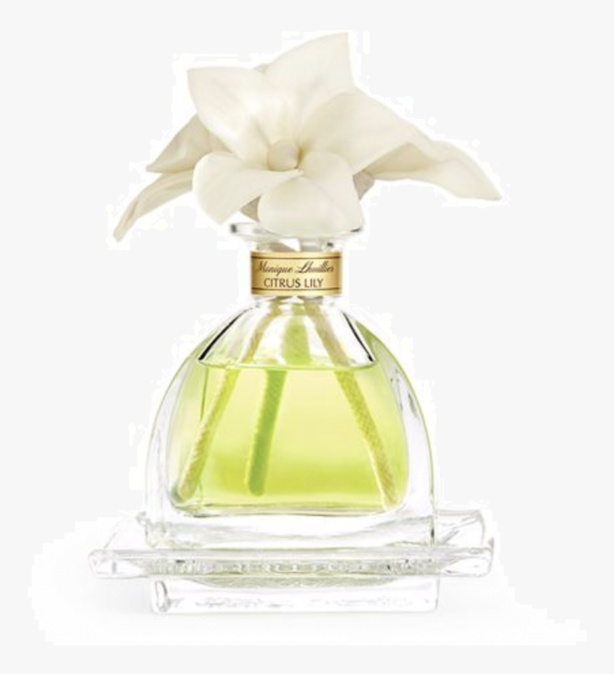 Rose, HD Png Download